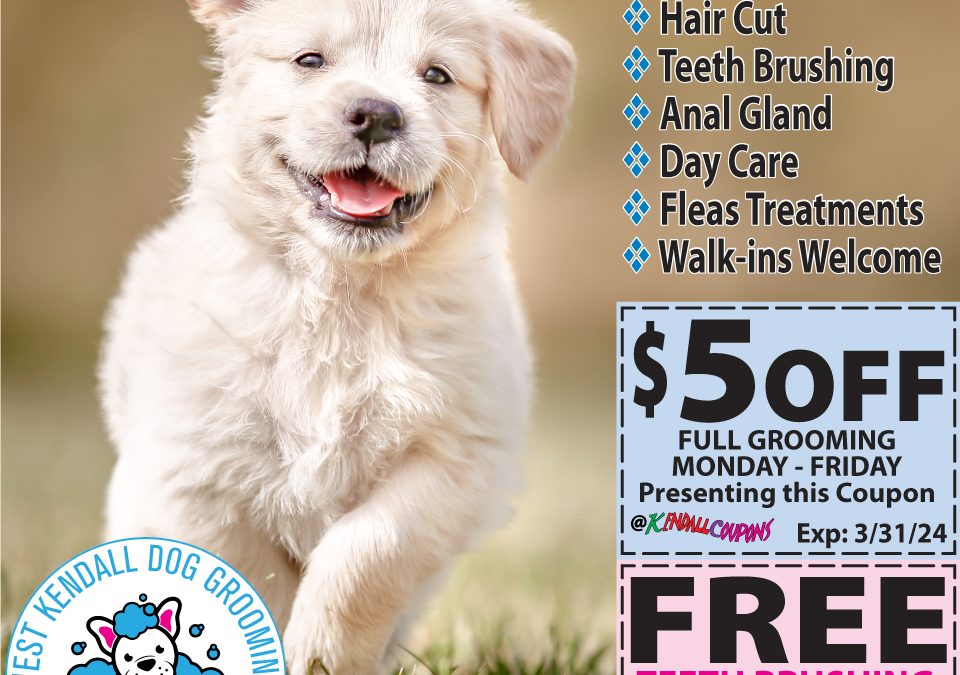 West Kendall Dog Grooming